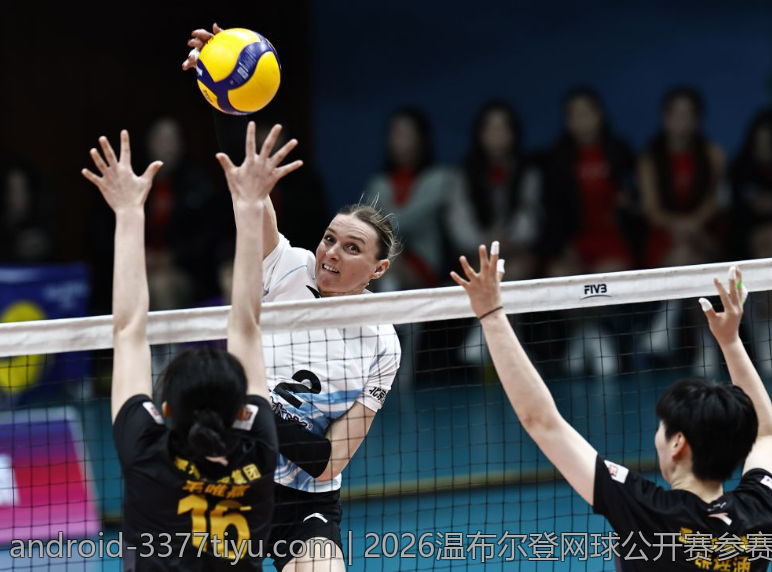 2026温布尔登网球公开赛参赛选手签表全景展望