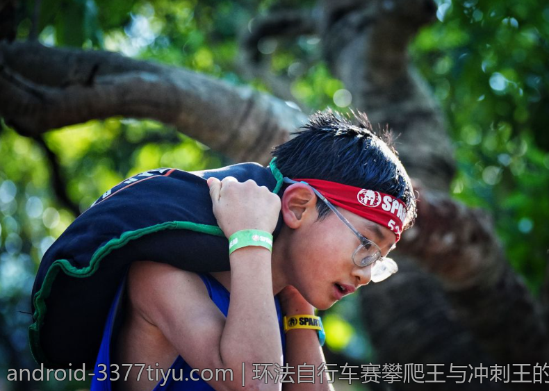环法自行车赛攀爬王与冲刺王的较量
