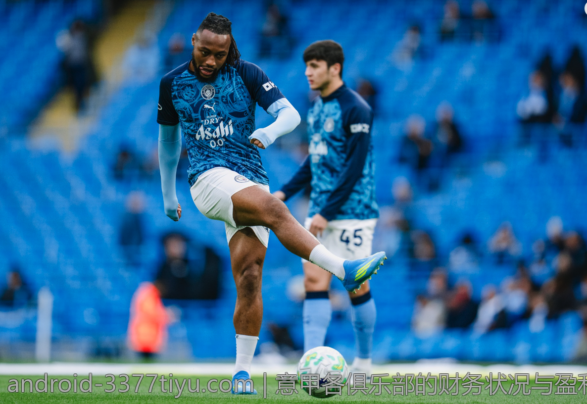 意甲各俱乐部的财务状况与盈利能力